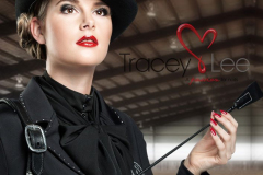 Air of Ascot - Birmingham 2014