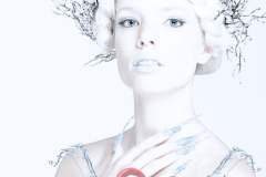 Frozen Beauty - NNC South Africa 2013