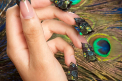 Proud as a Peacock - NNC South Africa 2013