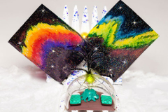 NTNA - INM Challenge - Northern Lights